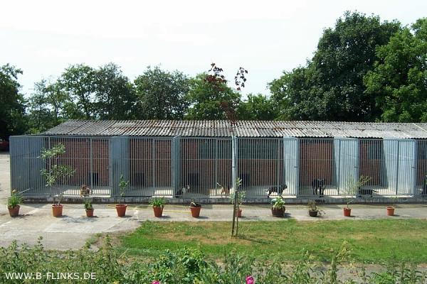 twg_slideshow